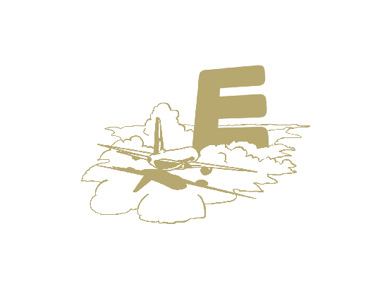 醫丫E丫
